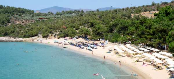 Praia de Rosonkremos: Acomodações