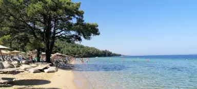 파치스 해변