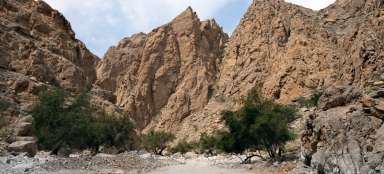 Wandel door de Wadi Naqab-kloof