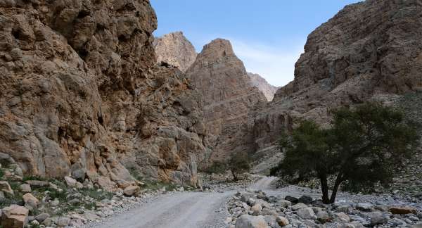 步行穿过 Wadi Naqab 峡谷