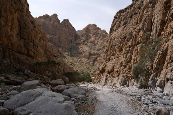 Dans les gorges