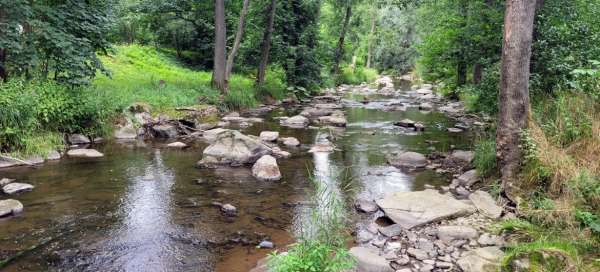 Valle Chittussi: Alojamientos