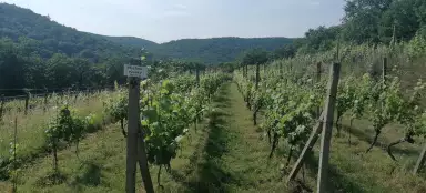 Gita in bicicletta Hnanice - Lukov