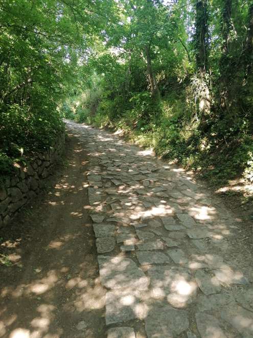 Camino pavimentado al viñedo de Šobes
