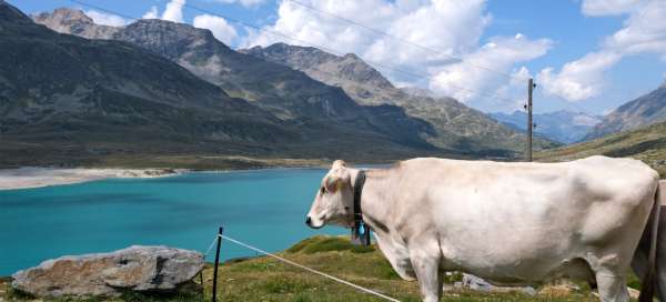 Un paseo por el Paso Bernina: Clima y temporada