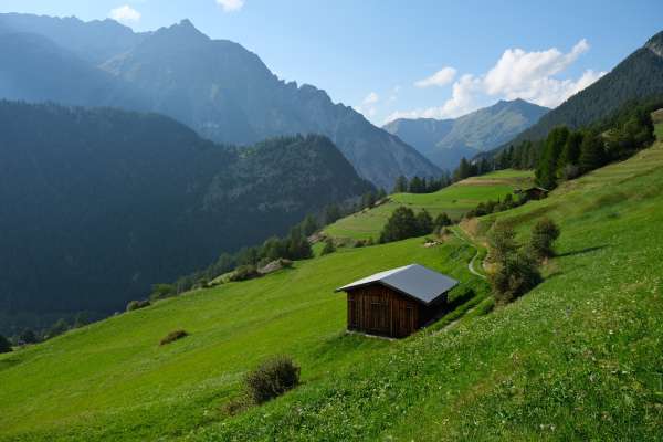 Meadows with haystacks