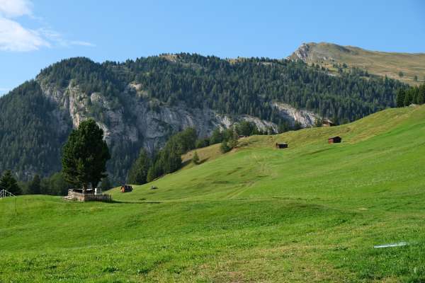 Meadows near Parditsch