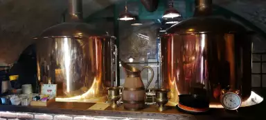 Visita del birrificio principesco Plasy