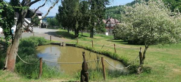 Rokytnický rybník - Hrubá Skála walk: Accommodations