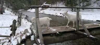 奥布雷泽的水磨坊之旅