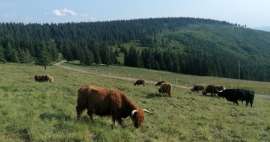 De mooiste wandelingen vanuit Strážné