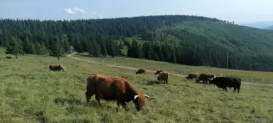 Najpiękniejsze wędrówki ze Strážné
