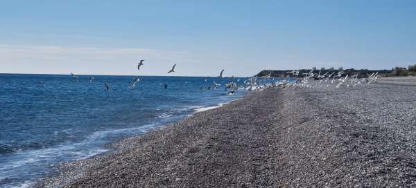 Playa de Lachania: Clima y temporada