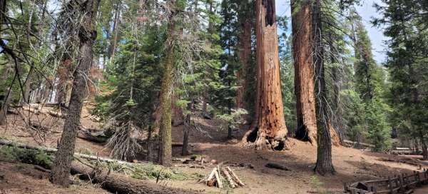 Kings Canyon National Park: Accommodations