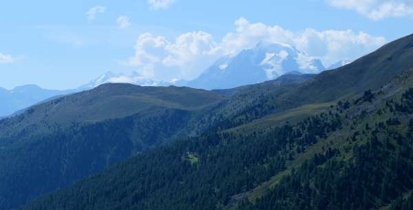 Ortler in the distance