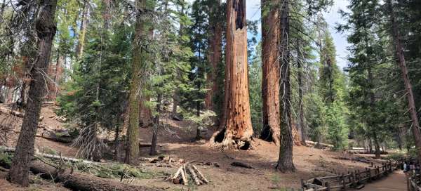 Kings Canyon National Park - Grant Grove: Weather and season