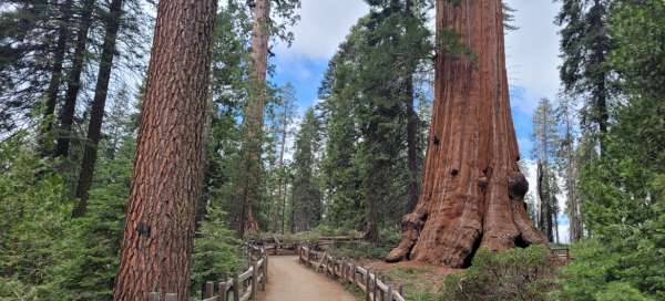 Kings Canyon National Park - General Grant Trail: Weather and season