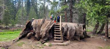 Parque Nacional Kings Canyon - Mark Twain Stump
