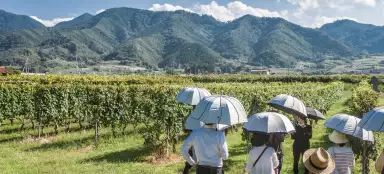 Yamanashi area and Koshu valley