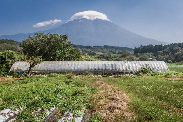 Monte Fuji y papel de aluminio
