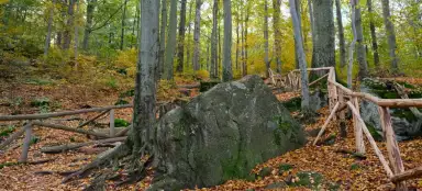 チョジニク城に登る