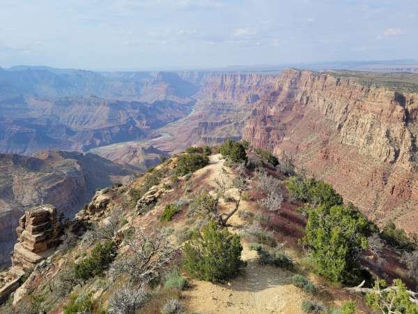 Výhled na Grand Canyon