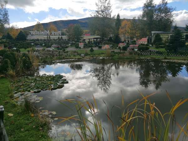 Un estanque en el centro del parque.