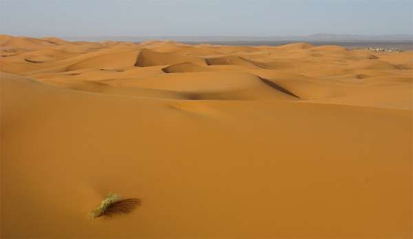 Endlose Wüste