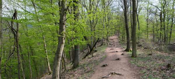 Národní park Dunaj-Ipeľ: Počasí a sezóna