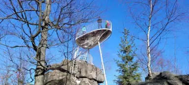 リトルスピッツ