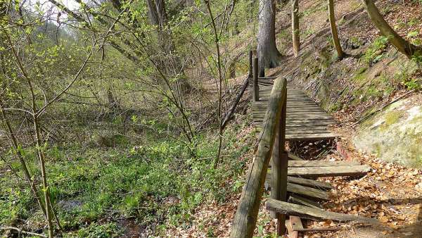 Neglected trail 