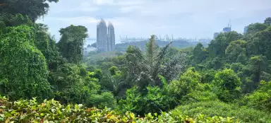 Una passeggiata sul Monte Faber