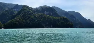 Feeding the eagles in Langkawi