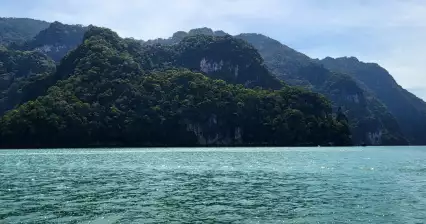 랑카위에서 독수리에게 먹이 주기