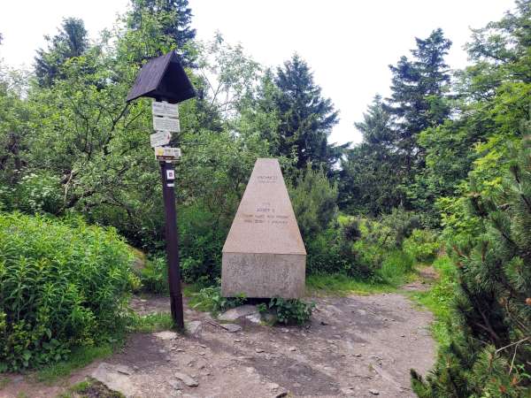 Spitze