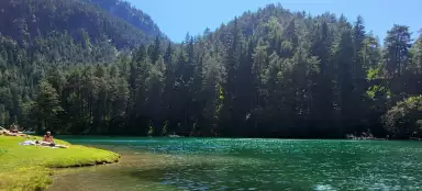 Une promenade au bord du lac Fernsteinsee