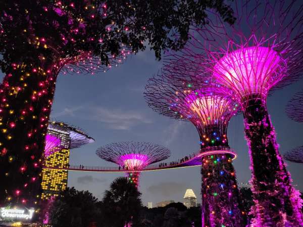 Supertree Grove