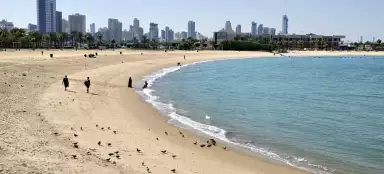 クウェートのマリーナビーチで泳ぐ