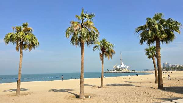 Palmiers sur la plage de Marina