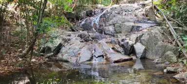 Sendero de la jungla en Ko Adang