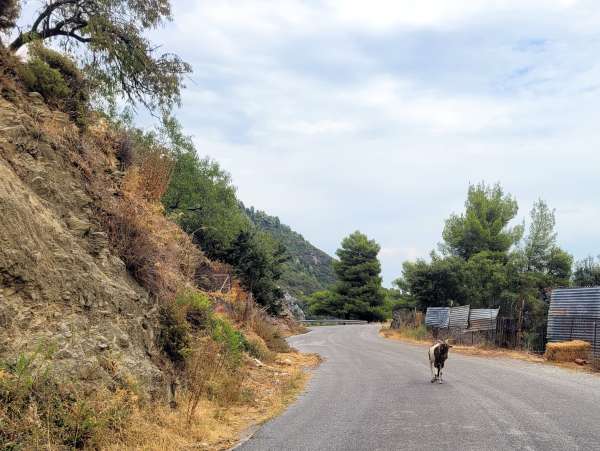 O caminho para a igreja