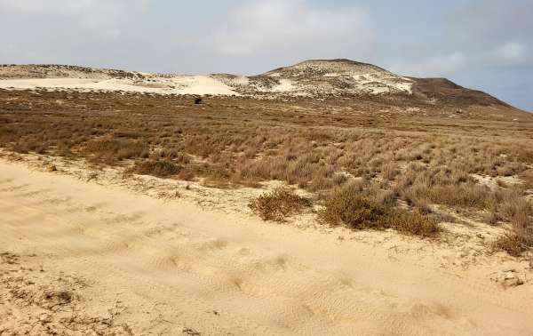 Morro de Areia (156 m)
