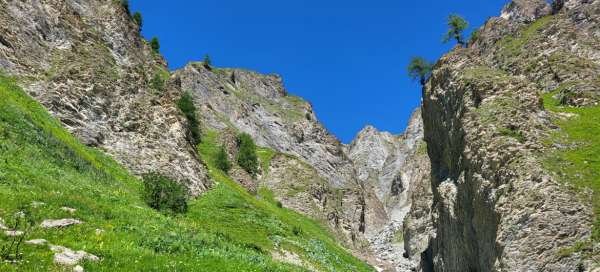 Escursione Alp Trider Sattel - Ravaisch