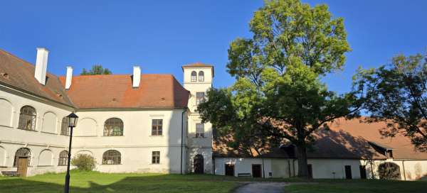 Excursion à l'abbaye de Porta Coeli