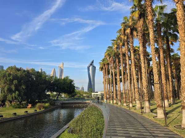 Promenade met palmbomen