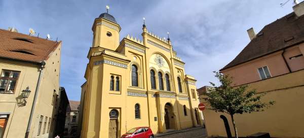 Žatec Synagogue