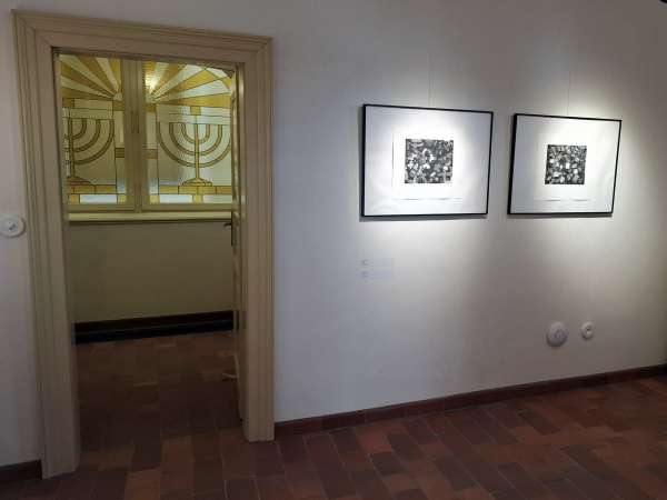 Rabbi's House