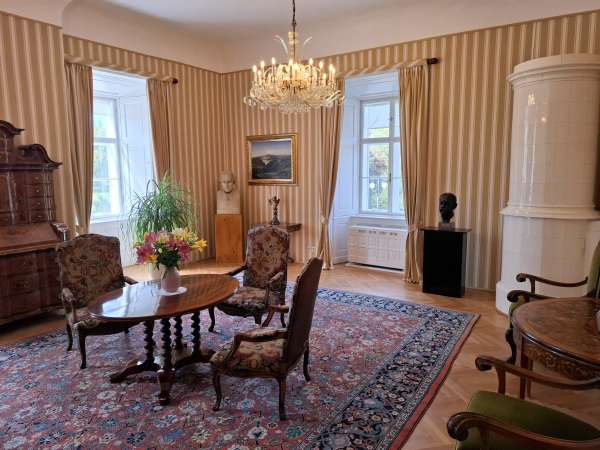 De studie van Masaryk
