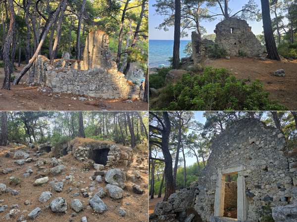 周围森林中的古代遗址