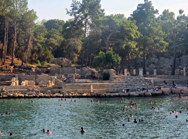 直接在法塞利斯游泳